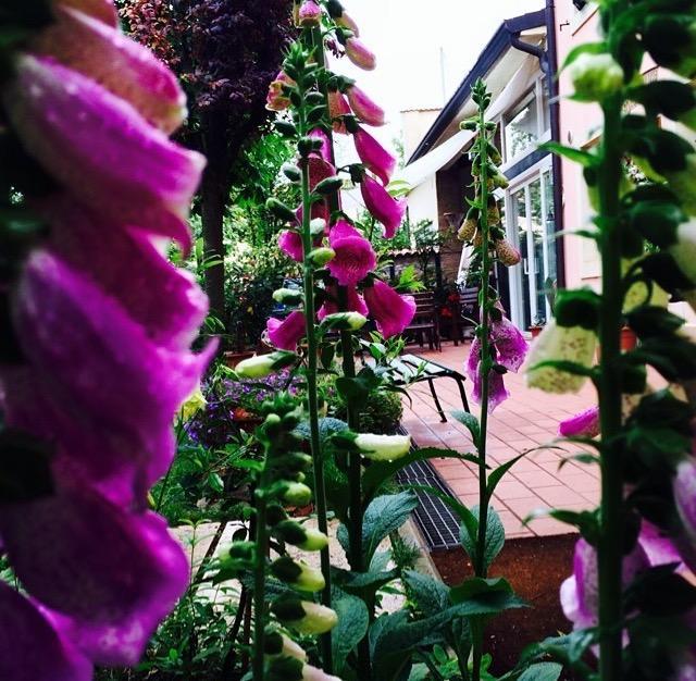 Bed And Breakfast Villa Franca Villafranca di Verona Exteriér fotografie
